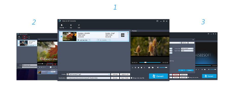 Aiseesoft Video to GIF Converter截图