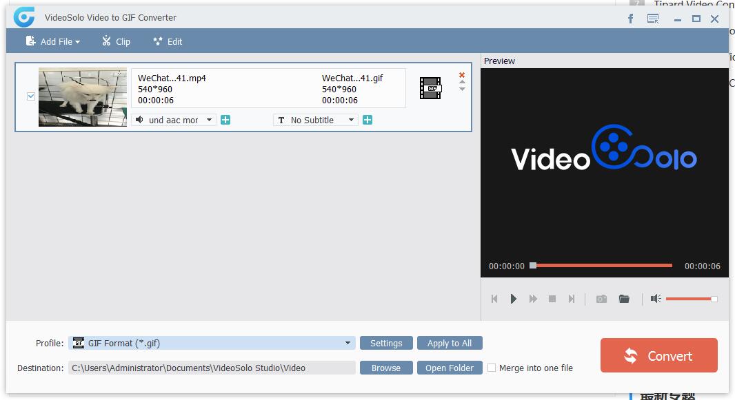 VideoSolo Video to GIF Converter截图