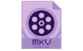 Dimo MKV Video Converter  4.6.0 官方版