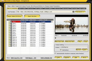 Bisn DVD to Video Ripper  4.0.0