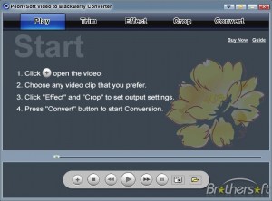PeonySoft BlackBerry Converter  2.2.1