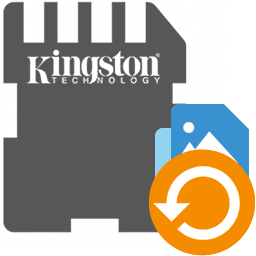 Kingston DVD Audio Ripper  2.0