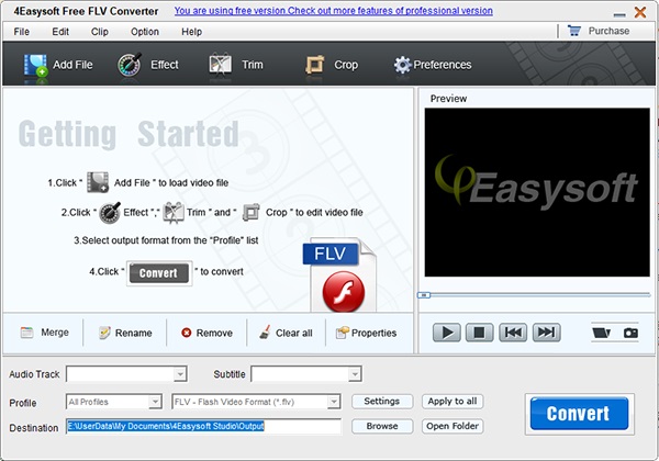 4Easysoft Free FLV Converter截图